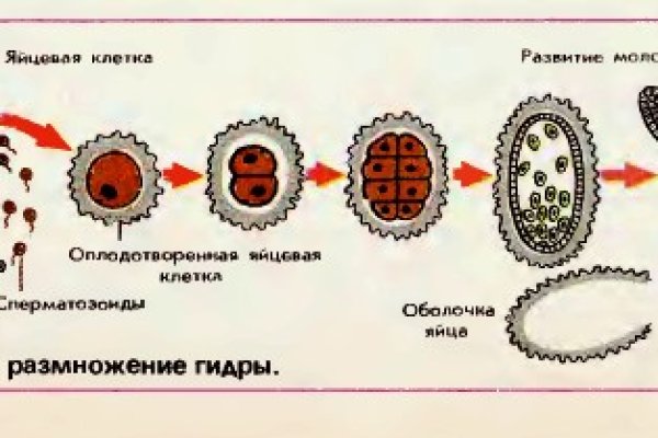 Кракен актуальная ссылка тор