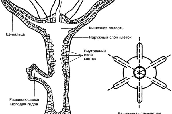 Кракен ссылка на тор официальная онион