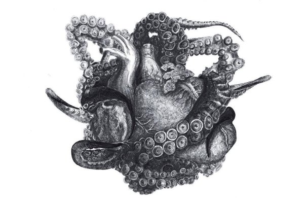 Kraken site