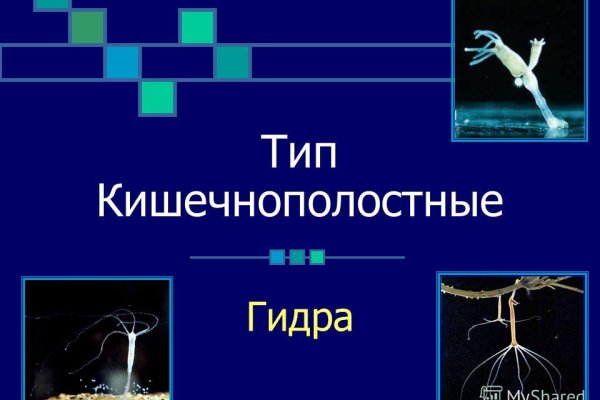 Кракен сайт это