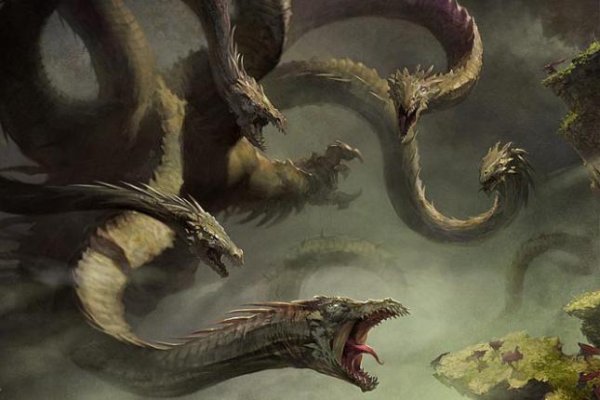 Kraken 11at