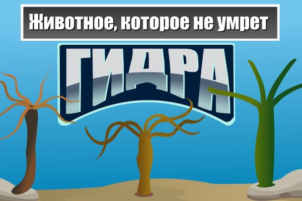 Кракен что это такое маркетплейс