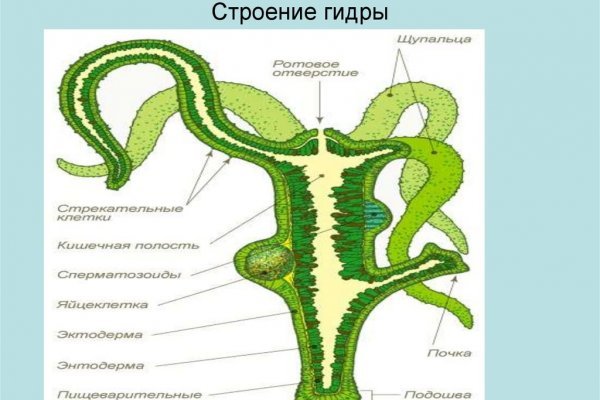 Оригинальная ссылка на кракен